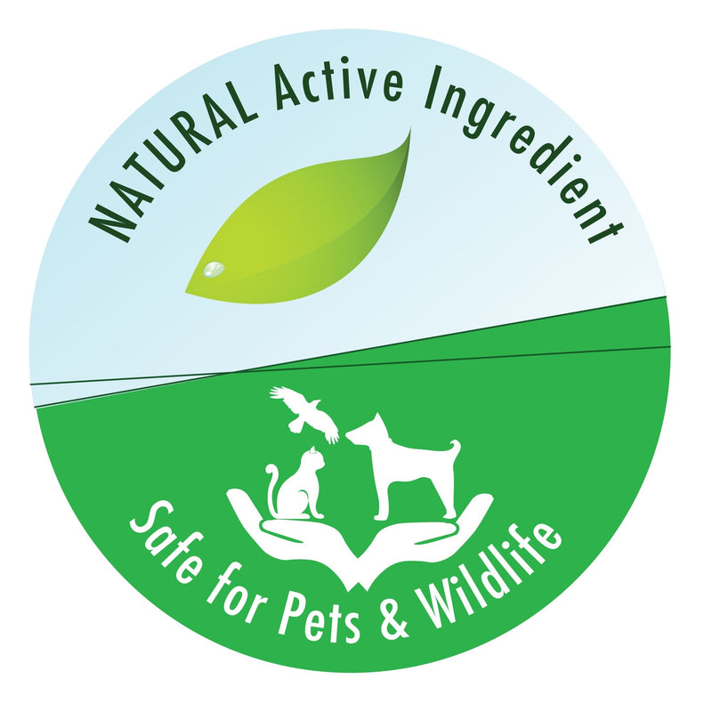 API POND-ZYME SLUDGE DESTROYER Pond Cleaner With Natural Pond Bacteria And Barley, 1-Pound Container - PawsPlanet Australia