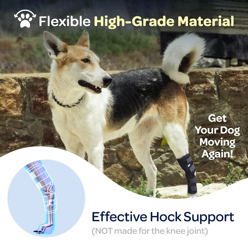 Labra Dog Rear Leg Hock Joint Compression Wrap - Supportive Brace for Weak Back Legs, ACL Tear, and Joint Discomfort - Adjustable Hind Leg Support for Senior Dogs - Extra Large