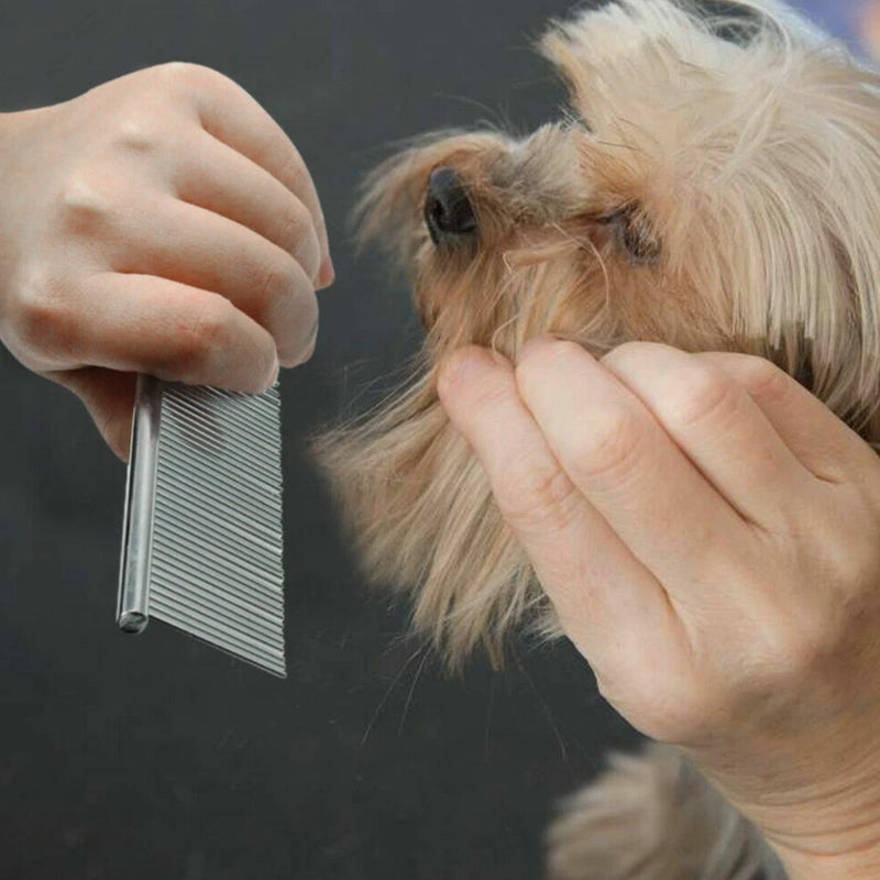 Pet Grooming Kit, Ceramic Blades, Easy and Comfortable Grooming, All-in-One Dog Clippers for Grooming, Easy to Maintain, Versatile, LED Display, Long Lasting Battery, Precision Cutting - PawsPlanet Australia