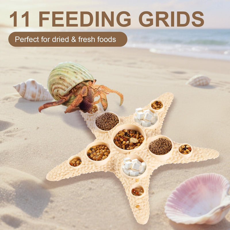 11 Grids Hermit Crab Food Dish, 2 Pack Starfish Shape Hermit Crab Food Bowl, Reptile Water Dish Tank Accessories Beige - PawsPlanet Australia