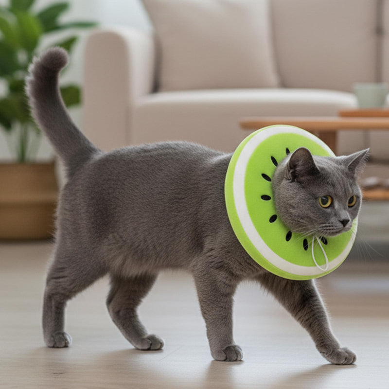 Cat Collar, Cat Collar, Cat Body After Surgery, Cat Collar, Adjustable Small Soft Leisure Collar for Cat Care (Green)
