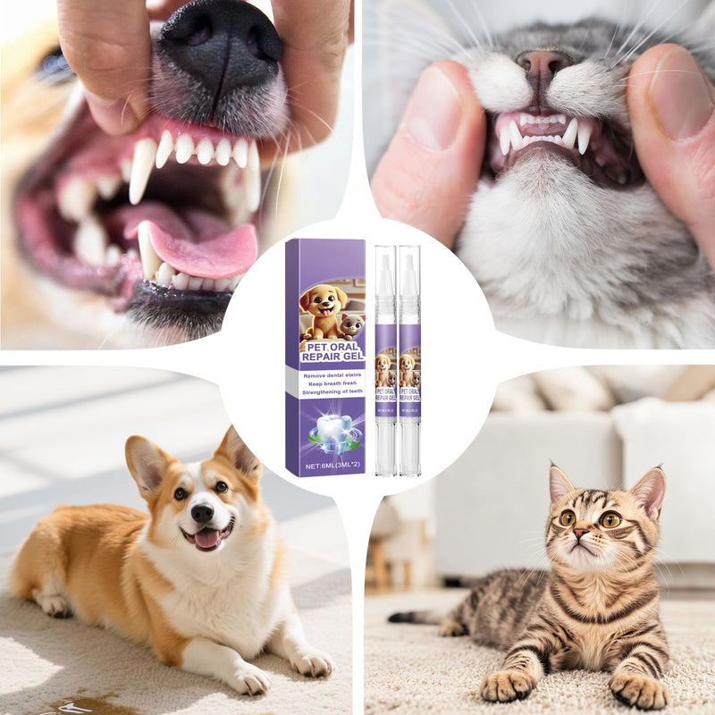 Pack of 4 Toothbrush Pens for Dental Care Dogs and Dental Care Cats, Gel for Oral Care of Pets, Teeth Cleaning Pen for Pets, Brush Your Teeth