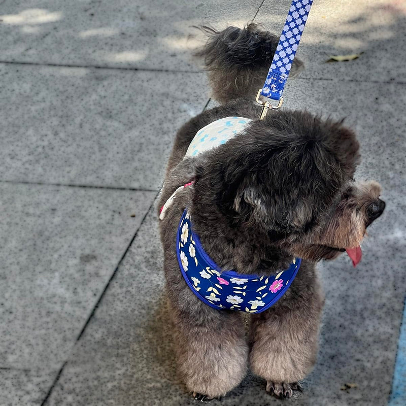 Reversible Prints Dog Harness Pet Harnesses for Extra Small Medium Large Dogs Soft Breathable Adjustable Puppy Vest for Easy Walking (Blue, Medium) Blue - PawsPlanet Australia