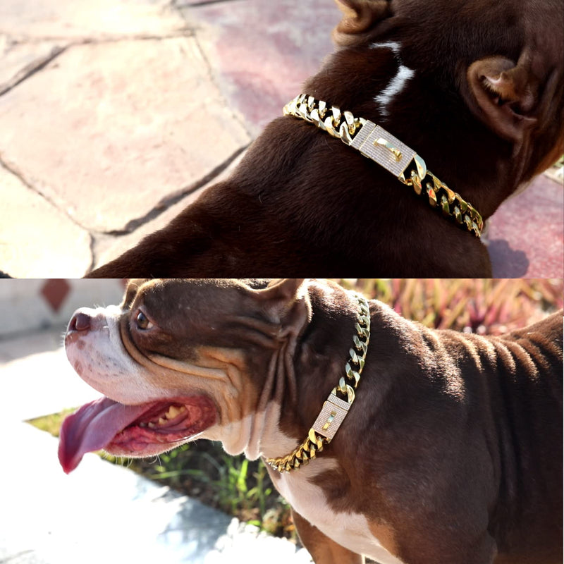 New Gold Dog Chain Collar with Bling Zircon Buckle,19MM Strong Stainless Steel Cuban Link Chain Collar,Dog Necklace Collar for Small Medium,Large Dogs Diamond Gold 22 Inch - PawsPlanet Australia
