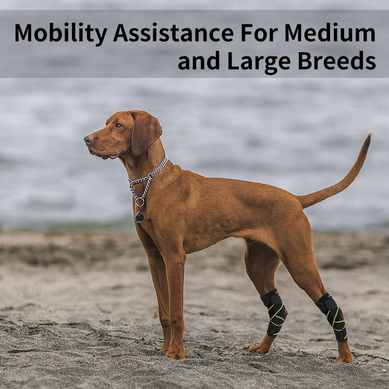 Dog Canine Rear Leg Hock Joint Brace, Pair of Dog Leg Double Compression Brace with Metal Spring Strips, Protects Hind Leg Wounds, Injuries and Sprains Helps Arthritis-M Medium - PawsPlanet Australia