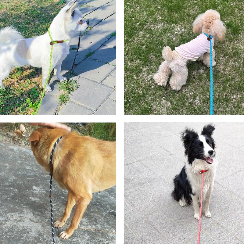 7ft Slip Lead Dog Leash for Small Dogs, Anti-Pull Puppy Training Lead, Lightweight Pet Slip Rope Leash Easy On/Off, Purple 1/4'' x 7 FT - PawsPlanet Australia