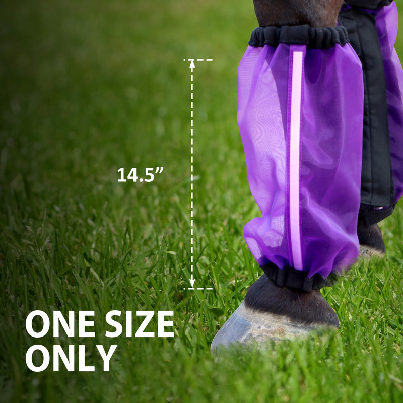 Universal Size Horse Leggings Fine Mesh Horse Fly Boots Greatly Reduce Stomping Breathable Horse Boots Leg Wraps (Set of 4) Purple - PawsPlanet Australia