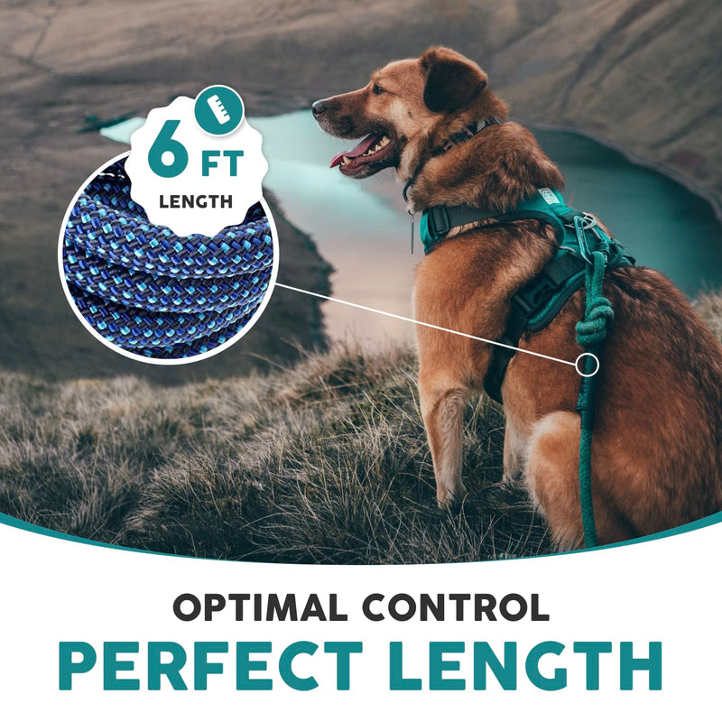 Embark Adventure Pro Leash with Mountain Climbing Rope and Carabiner. Unmatched Strength & Durability, 6ft, Colourful, and Sturdy Nylon Dog leashes for Small, Medium, Large Breed Dogs Navy Blue - PawsPlanet Australia