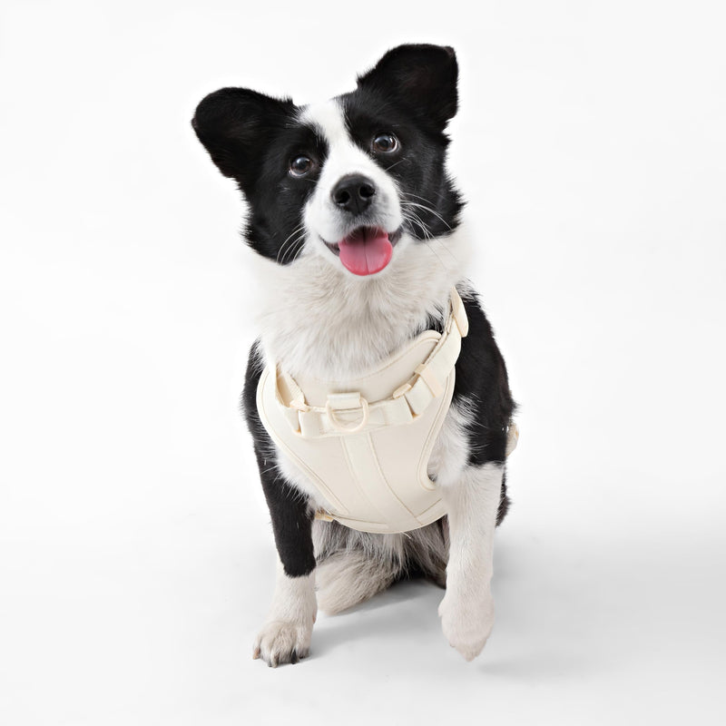 HNS1003L Arlo Large Adjustable Soft Padded No Pull Pet Harness with 3 Buckles and 3 Leash Clips, Bailey Almond Large (Chest: 24 - 37") - PawsPlanet Australia