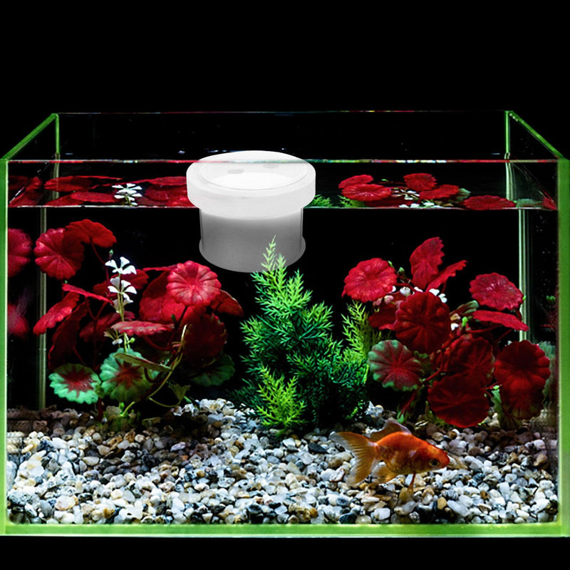 Fish Breeding Box - Acrylic Aquarium Box Fish Tank Separate Box Fish Box Aquarium Hatchery Incubator Aquarium Breeding Box for Shrimp Small Fish 10X10X8CM Transparent