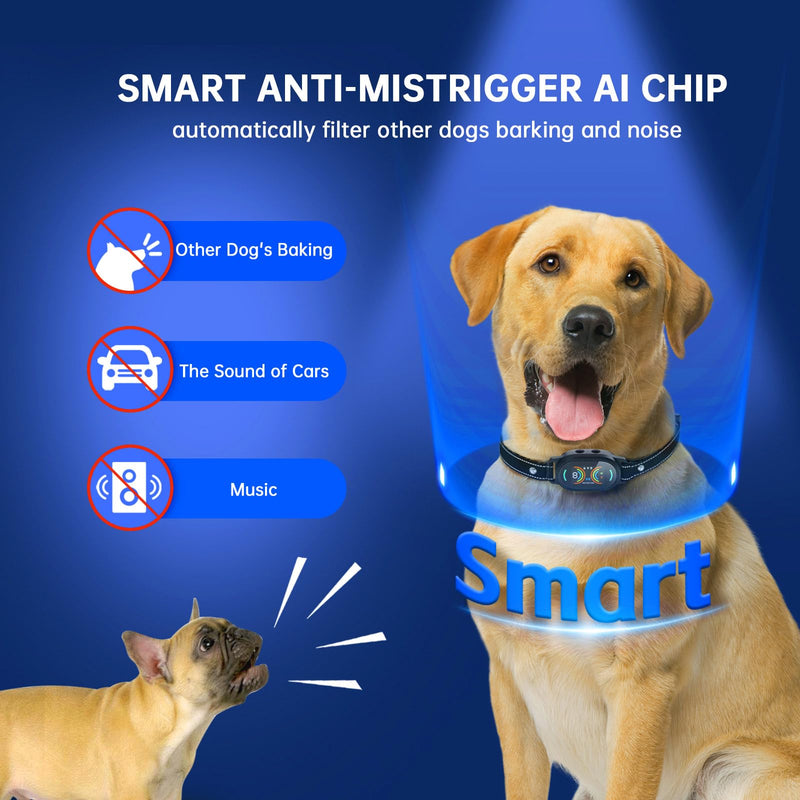 Dog Bark Collar, Rechargeable Bark Collar for Large Dog, IP67 Waterproof Anti Barking Collar Dogs with Adjustable Sensitivity for Medium and Small Dogs (Matte Black) Matte Black - PawsPlanet Australia