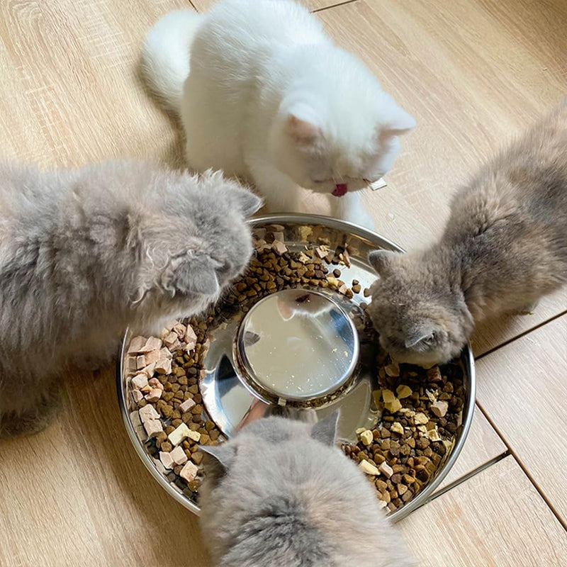 Stainless Steel Puppy Bowls 2 Pack, Pet Slow Feeder Bowls, Water Bowl, Feeding Weaning for Small Medium Large Dogs, Cat, Pets (2 Pack, Medium：1.3” x 10”) Medium：1.3” x 10” - PawsPlanet Australia