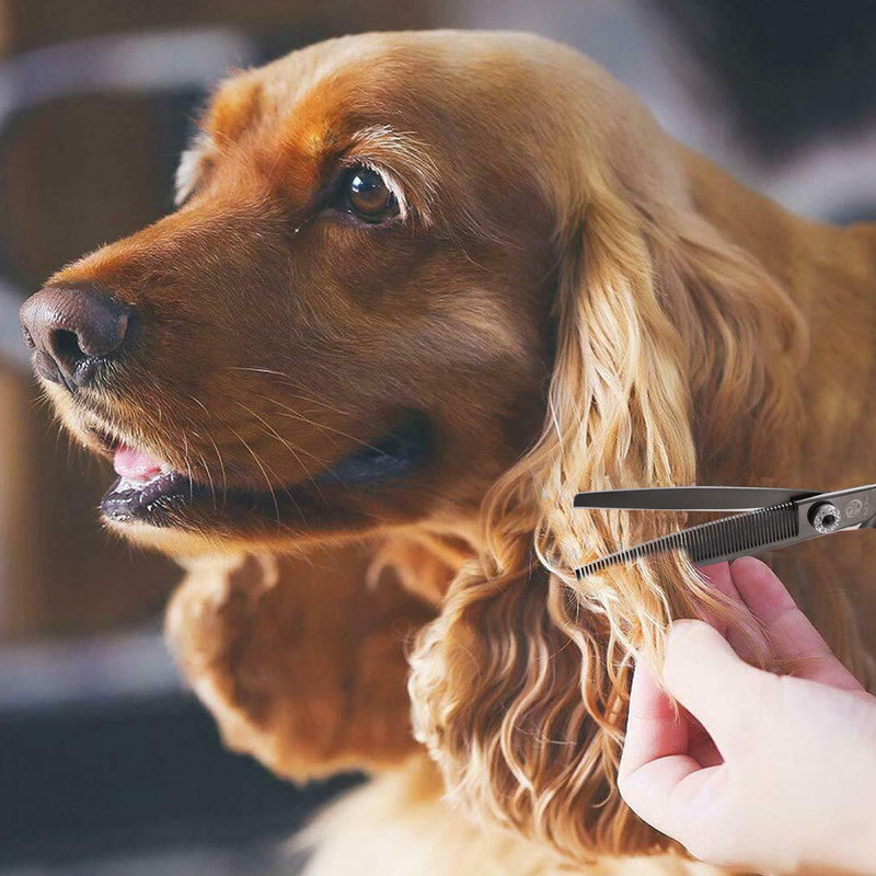 Purple Dragon 6.5" 55 Tooth Professional Pet Grooming Scissors - Dog Thinning/Blending Shears - Animal Hair Trimmer for Pet Groomer B-black - PawsPlanet Australia