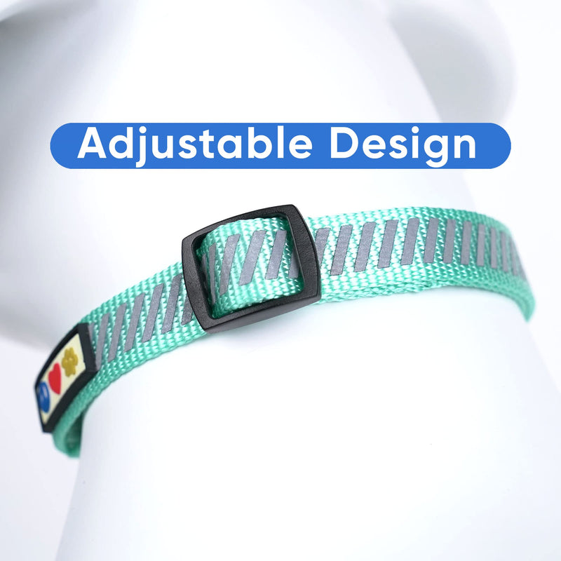 Pawtitas Reflective Dog Collar for Dog and Puppies A High Visibility Collar with Reflective Bands | Adjustable Dog Collar Heavy Duty Perfect for Extra Small and Small Puppies - Teal XS Collar X-Small (Pack of 1)