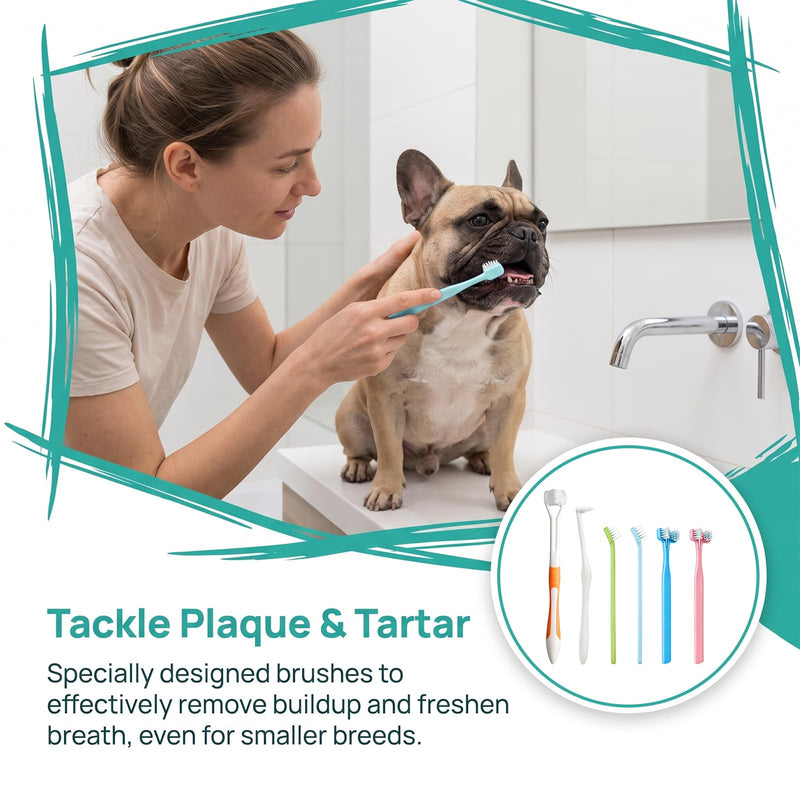 Dog Toothbrush 6PCS Set for Dogs & Cats, Dog Toothbrush, Cat Toothbrush, Dog Toothbrush, Pet Dental Care, Brushing Dog Teeth, Single Head, Double Head, Three Head Brush, Fine Toothbrush