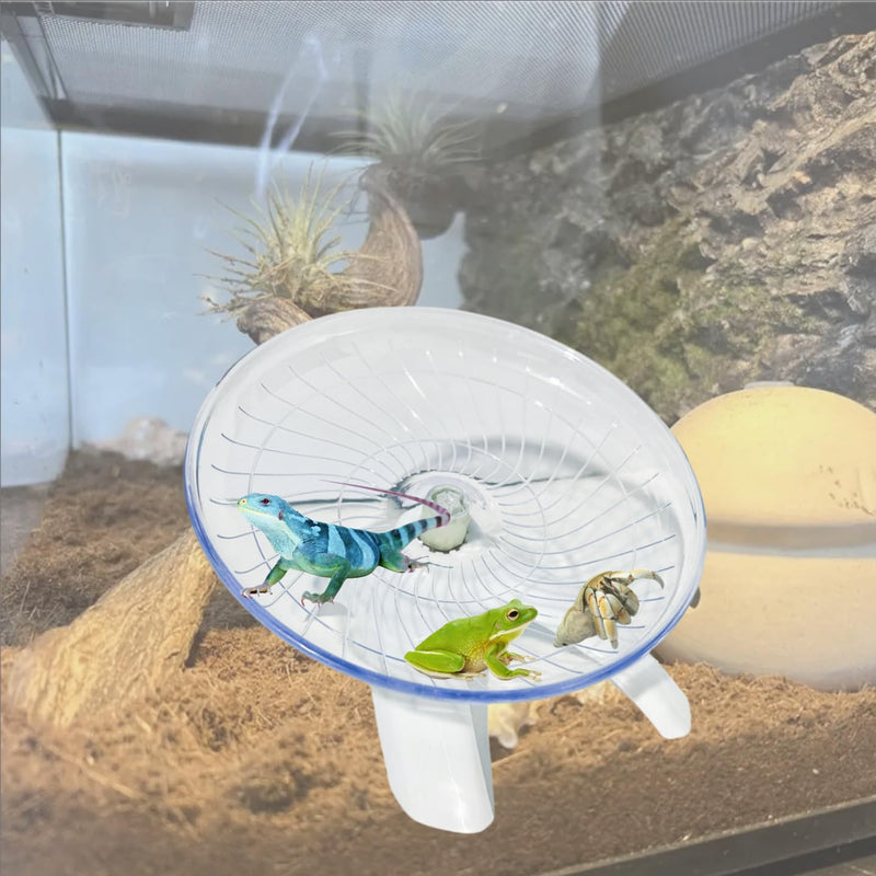 Funny Hermit Crab Running Wheel Climb Toy, Hamster Reptiles Running Flying Wheel Saucer, Cute Running Wheel for Guinea Pig Small Pet Animals Tree Frog Hamster Lizard Salamander Hermit Crab (White) White - PawsPlanet Australia