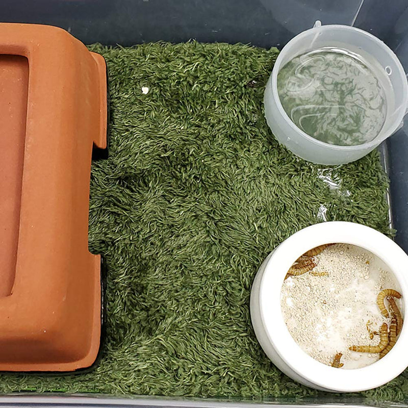 kathson 2pcs Reptile Carpet Terrarium Liner Tortoise Bedding Reptile Substrate Liner Mat Pet Cage Mats Supplies for Lizard Snake Bearded Dragon Gecko Chameleon Turtle Iguana (11.81 X 7.87 in) 2PCS（M）：11.81 X 7.87 in - PawsPlanet Australia