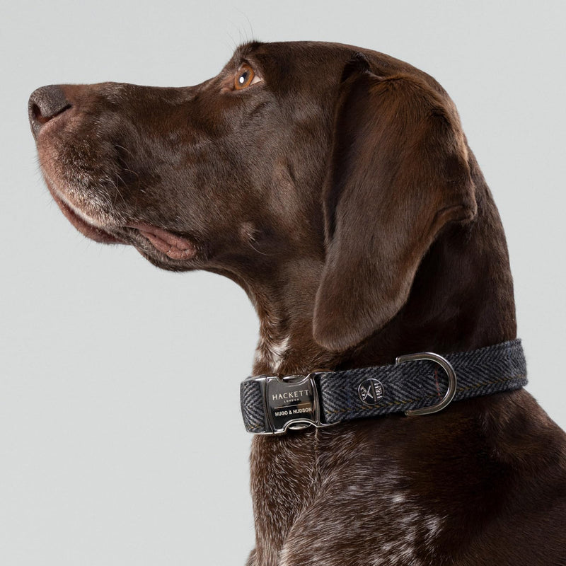 HUGO & HUDSON x HACKETT Tweed Dog Collar with Adjustable Metal Buckle, Grey Checked Herringbone S