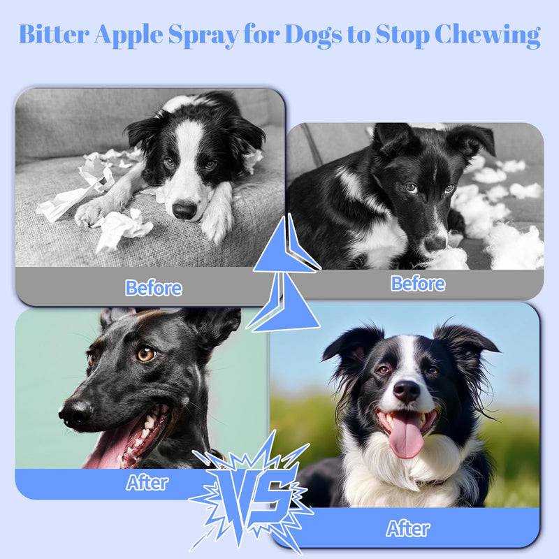 No Chew Spray for Dogs, Bitter Apple Spray for Dogs to Stop Chewing,50ML Natural&Safe Anti Chew Deterrent Spray, Alcohol-Free Effective Indoor/Outdoor Use, Protect Furniture Shoes&Household (Blue) - PawsPlanet Australia