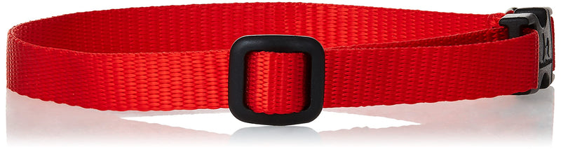 LupinePet Basics 1/2" Red 10-16" Adjustable Collar for Small Dogs 1/2" by 10"-16" Adjustable Collar - PawsPlanet Australia