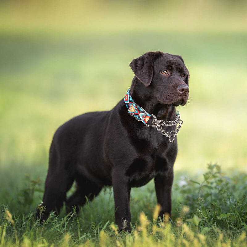 Stainless Steel Chain Martingale Collar for Dogs, No Pull Slip Cinch Choker Choke Collar Training Escape Proof Heavy Duty Dog Collar for Small Medium Large Pet Boy Male Dogs, Western Boho Aztec L L(Neck19-24") - PawsPlanet Australia