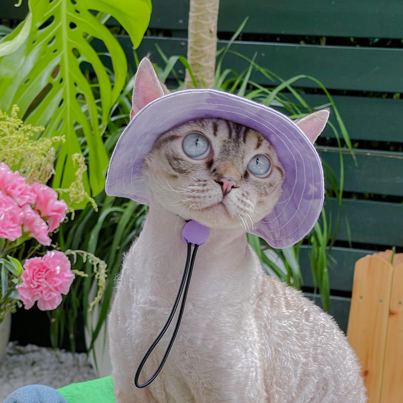 Pet hat with Ear Holes Sunscreen Baseball Cap Suitable for Small and Medium-Sized Dogs Outdoor Climbing hat in Summer Pet Products (Small, Purple) - PawsPlanet Australia