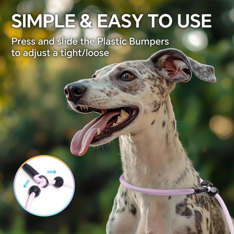QQPETS Adjustable Slip Lead Dog Leash, Hands Free Waist Leash for Dog Walking, Reflective Training Lead with 360° Swivel Anti-Tangle, 4-7 ft Length for All Breeds Color Gradient - PawsPlanet Australia