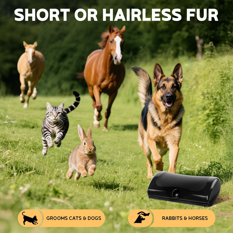 Deshedding Dog Brush & Pet Hair Remover Comb – Grooming Tool for Cats, Dogs, Rabbits, Horses, Hamsters | Itching Relief & Gift for Pet Lovers - PawsPlanet Australia