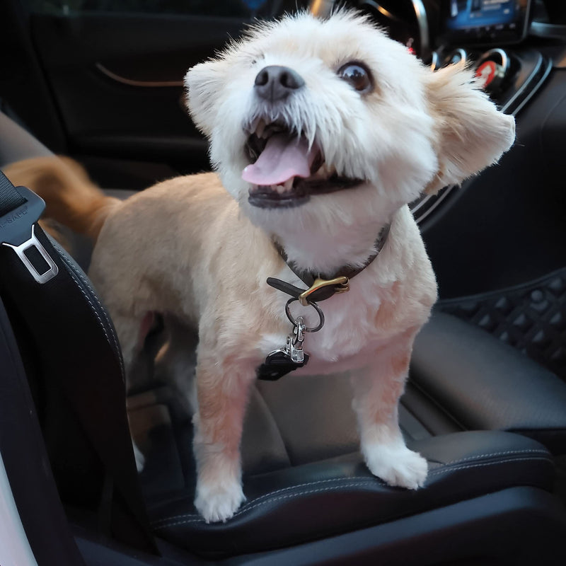 Mr. Pen- Dog Seat Belt, 2 Pack, Adjustable Dog Seat Belt for Car, Dog Seatbelt, Dog Car Seat Belts, Seat Belt for Dogs in Car, Dog Car Seat Belt, Dog Car Leash, Dog Seatbelt Harness, Pet Seatbelt - PawsPlanet Australia