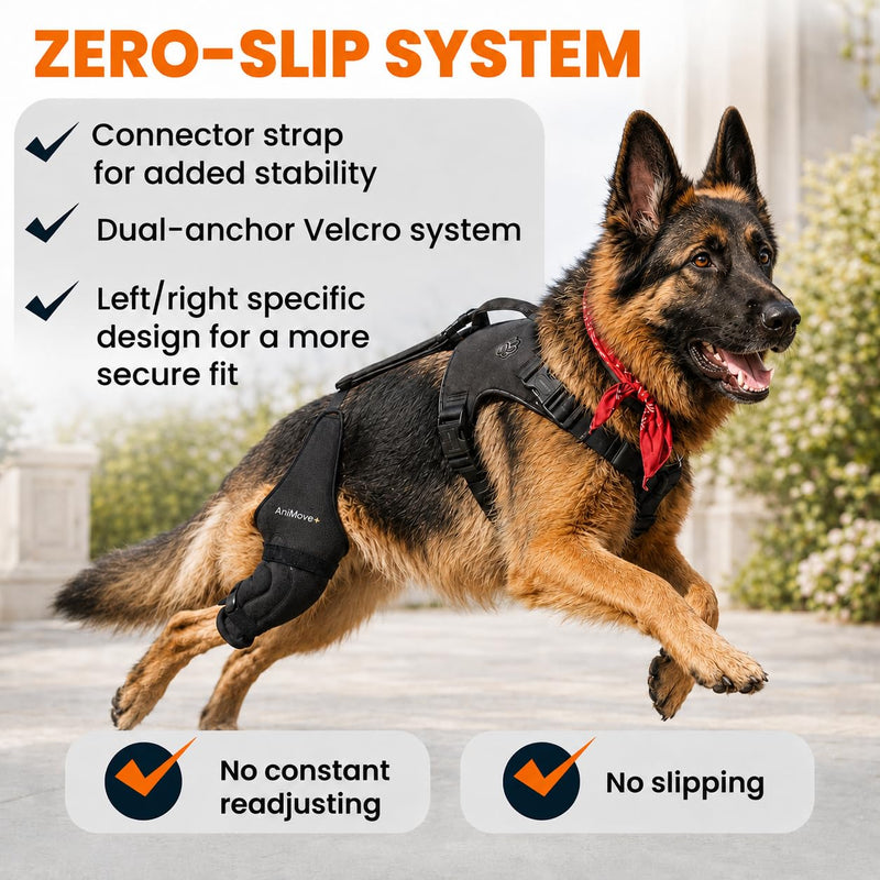 Hybrid Dog Knee Brace for Back Leg - ACL CCL and Arthritis Support with Anti-Slip Connector Strap - Hind Leg Brace for Small to Large Dogs L- LEFT LEG
