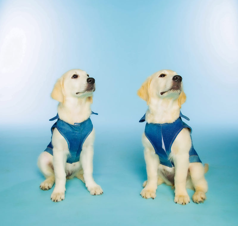 Dolly Doggy Parton Blue Denim Jacket with Collar for Dogs, Dog Apparel (Pack of 2) Medium (Pack of 2)