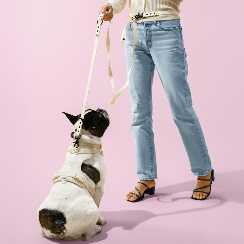 HNS1003L Arlo Large Adjustable Soft Padded No Pull Pet Harness with 3 Buckles and 3 Leash Clips, Bailey Almond Large (Chest: 24 - 37") - PawsPlanet Australia