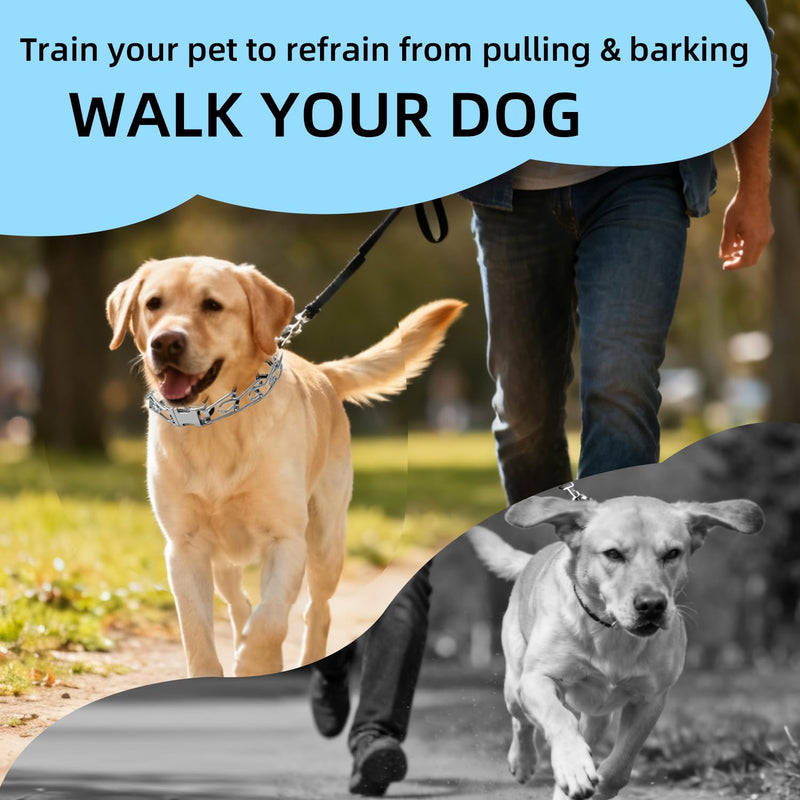 Prong Training Collar for Dogs, Adjustable Dog Pinch Collar with Quick Release Buckle, No Pull Collar for Small Medium Large Dogs, Extra Link and Caps S(14-17" Neck, 2.25mm) Silver