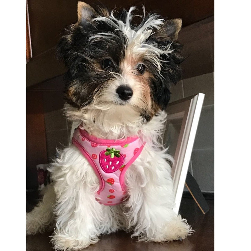 Stock Show Small Pet Summer Spring Cute Cartoon Harness Vest and Matching Polka Dots Lead Leash Set Breathable Soft Mesh Padded Adjustable Chest Strap Hareness for Puppy Kitten Small Animal S Pink - PawsPlanet Australia