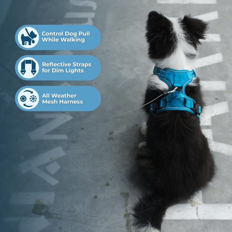 Voyager Dog Harness Dual Leash Attachment No-Pull Control Adjustable Soft but Strong Pet Harness for Medium and Large Dogs with 3M Reflective Technology - Turquoise, M (Chest: 20 - 25") M (Chest: 20 - 25") Harness (Turquoise Nylon)