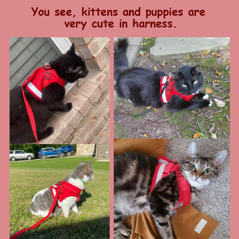 Cat Harnesses and Puppy Harness with Leashes Set, Escape Proof Cat Harness, Adjustable Reflective Soft Mesh Vest Fit Puppy Kitten Rabbit Ferrets's Outdoor Harness M (Chest: 12" - 14") Red - PawsPlanet Australia