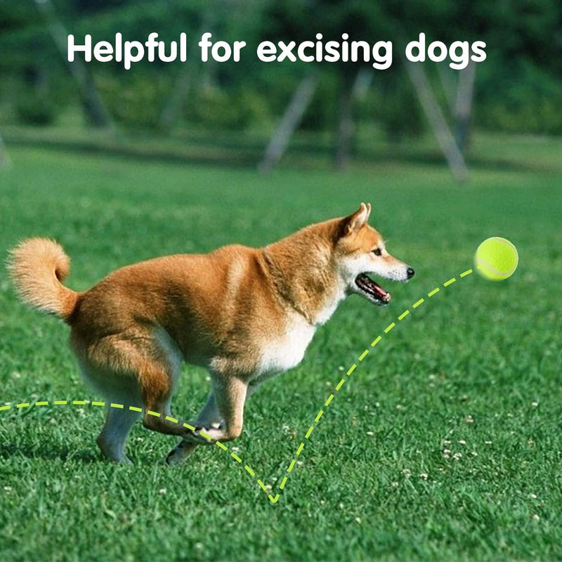 6 Pack Mini Tennis Balls for Pet Playing Fecth, 2 inch Dog Training Tennis Balls for Small Size Dogs, Interactive Dog Playing Balls Fits 2 inch Dog Ball Launchers - PawsPlanet Australia