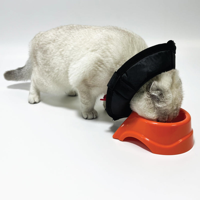 Dog Cone Collar Adjustable After Surgery, Protective Soft Dog and Cat Cone, Elizabethan Collar for Dogs and Cats, Comfortable Dog Cone, Adjustable Cat Cone (Black, XXL [Neck Girth: 20.4"-24.4"]) Black XXL [Neck Girth: 20.4"-24.4"] - PawsPlanet Australia