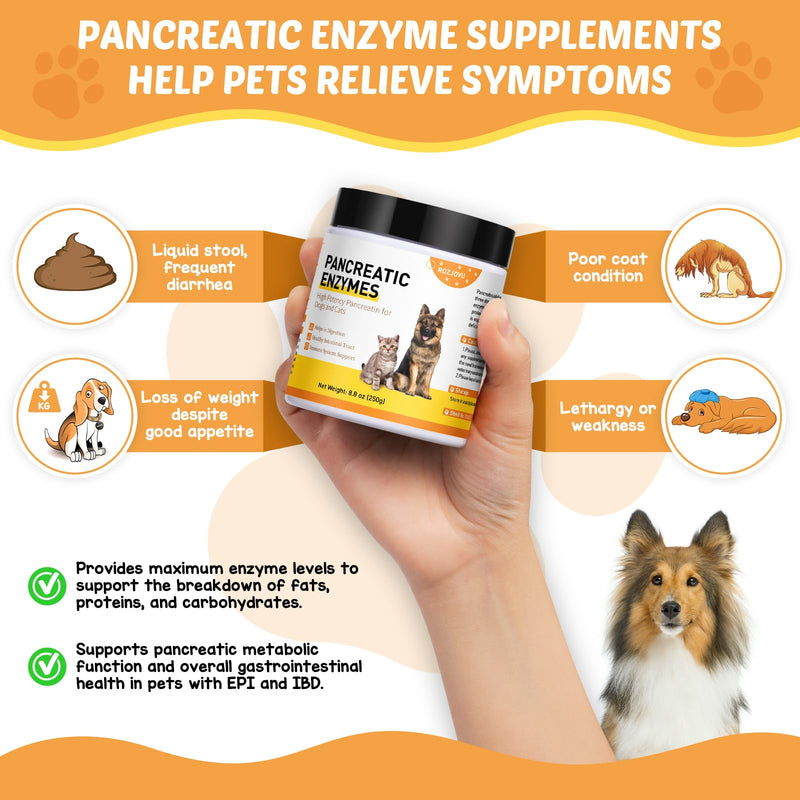 Pancreatic Enzymes for Dogs| 10x Pancreatin Formula |Dog Digestive Enzymes for EPI Pets | Support Digestive Stress, Pancreatic Concerns, and Healthy Weight Management| 8.8 Ounces - PawsPlanet Australia