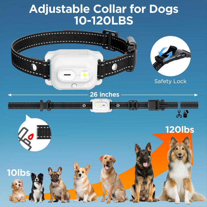 Dog Shock Collar, 3300ft Dog Training Collar with Remote, IPX7 Waterproof Rechargeable Shock Collar Dogs with Beep, Vibration, Safety Shock, Light Mode - PawsPlanet Australia