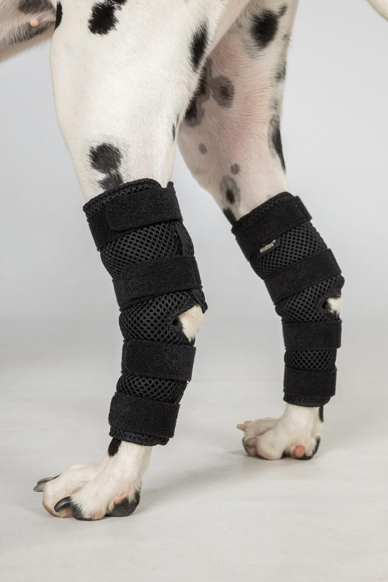 Back on Track Dixie Adjustable Supportive Dog Hock Brace (Pair) (Large) Large