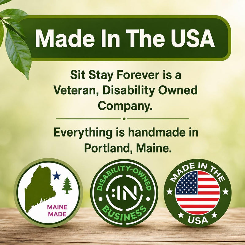 Sit Stay Forever Organic Sunscreen for Dogs and Cats, Dog Sunscreen, Dog Beach Essentials, Pet Sunscreen Cream for Dogs, Zinc Free, Dog Sun Protection, Dog Sunblock, Cat Sunscreen Made in USA, 2 oz