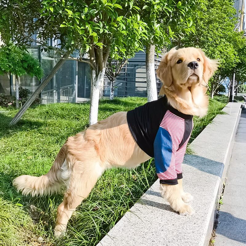 Large Dog Elbow Protection Shirt,Dog Short Pajamas Joint Recovery Sleeve for Prevent Licking Wound_3XL(Black) 3XL:Chest Girth:68cm/26.7in Black