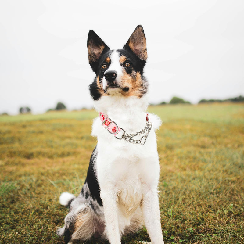 No-Pull Martingale Dog Collar with Chain, Reflective Adjustable Training Collar with Rose Flower Design for Medium, Large, XL Dogs(Medium) - PawsPlanet Australia