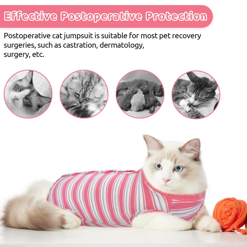Queenmore Cat Recovery Suit - Post-Surgery Bodysuit, Cone of Shame Alternative for Cats - Anti Licking (Pink, M) Medium Pink