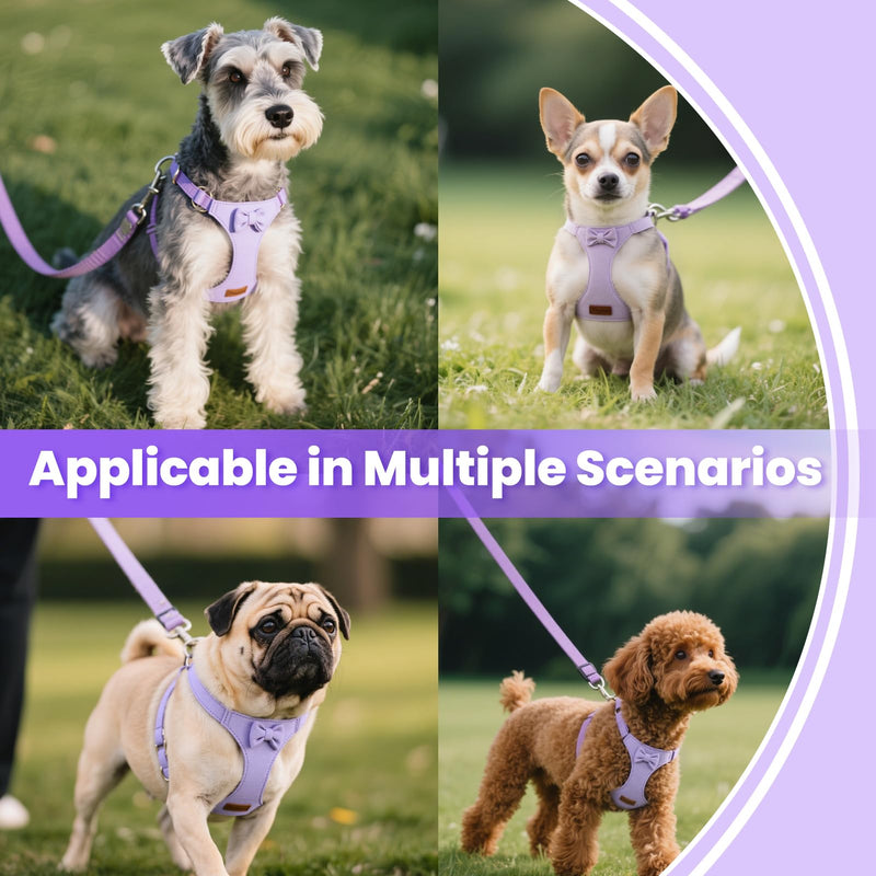 Dog Vest Harness Collar and Leash Set, No Pull Pet Vest Harnesses with 4.9ft Leash & Safety Buckle, Adjustable Dog Vest Harness Leashs for Small Medium Dogs Puppy Cats Training Walking (Purple XXS) Purple XXS - PawsPlanet Australia
