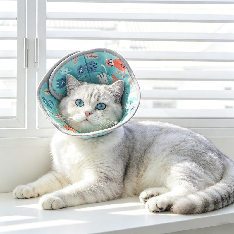 Vauki anti-lick cat collar, scratch-resistant, soft and adjustable, for cats, foldable for post-operative use, versatile Elisabeth collar, suitable for cats and small dogs