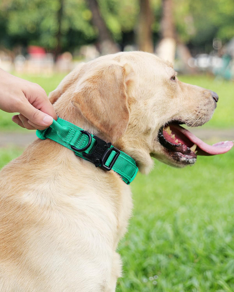 Joytale Tactical Dog Collar(17"-21") and Dog Leash Set, Shock Absorbing Bungee Dog Leash and Adjustable Strong Dog Collar with Handle for Large Dogs(Teal, L) - PawsPlanet Australia