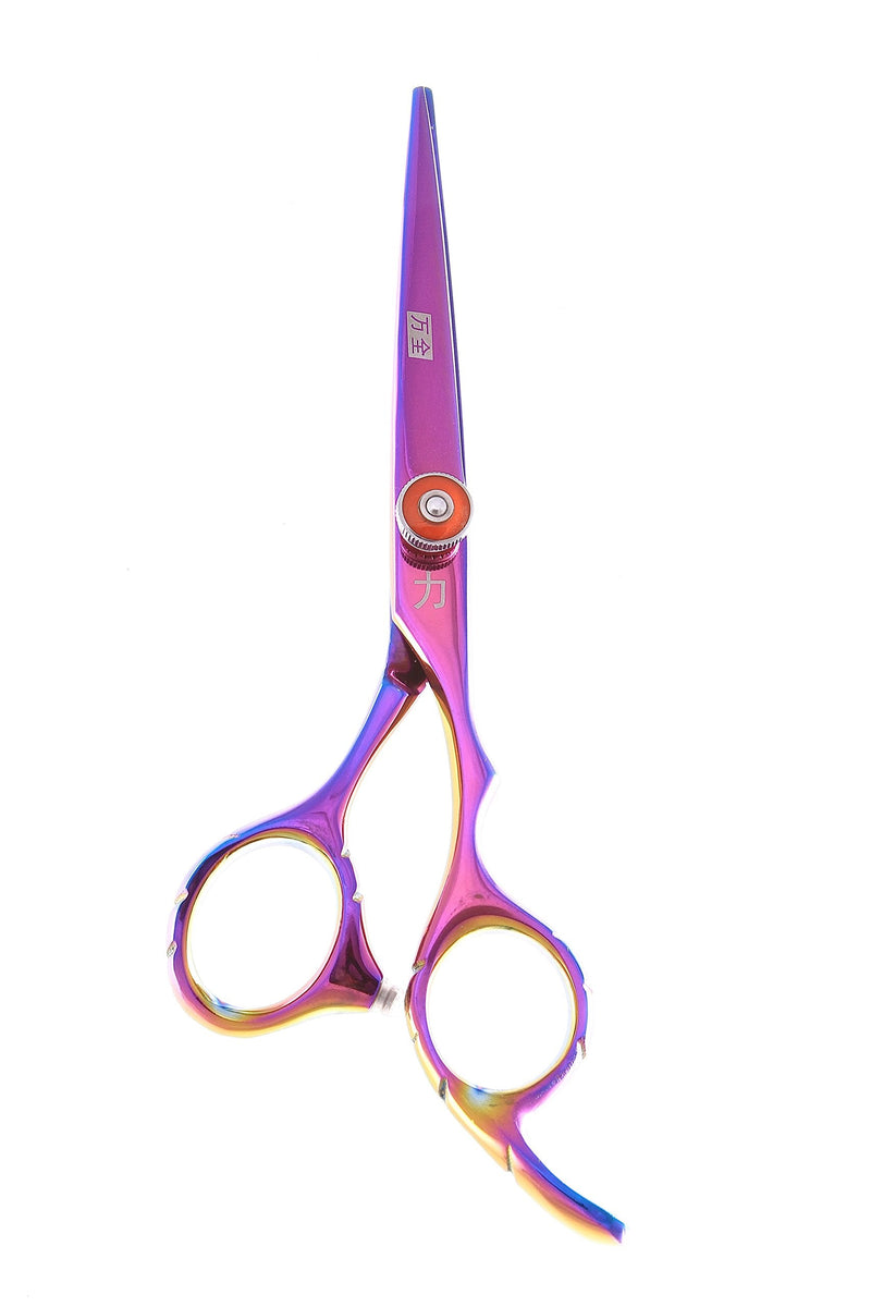 Rainbow Titanium Japanese Stainless Pro Styling Shear with Ergonomic Handle, 5.5 Inch, 10 Ounce