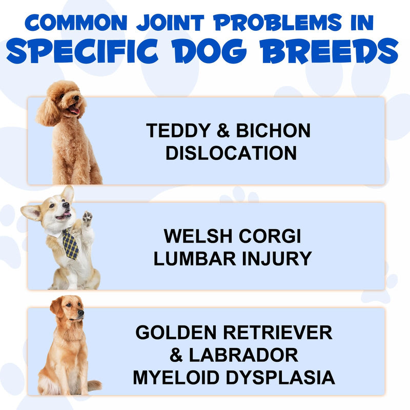 Glucosamine for Dogs, Liquid Joint Supplement for Dogs, Hip & Joint Drops Supports for Dogs, Dog Supplement for Mobility Pain Relief, Bacon Flavor 60ml - PawsPlanet Australia